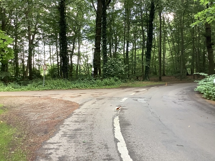 Kurve Kurve © Grundschule Heiligenrode